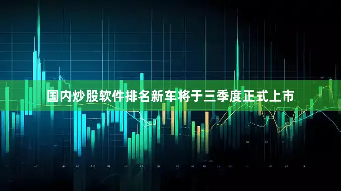 国内炒股软件排名新车将于三季度正式上市