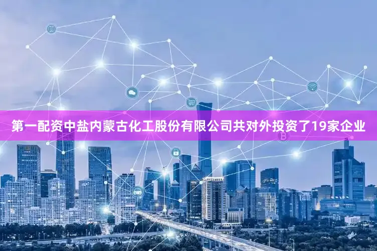 第一配资中盐内蒙古化工股份有限公司共对外投资了19家企业